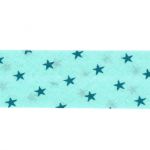 Biais Frou-Frou 20mmtissu Etoiles Bleu lagon 4090-20-311 petite image