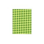 TISSU COUPON FROU-FROU VICHY 45x55cm Vert pomme 4606-0-512 petite image