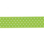 Ruban Satin Plumetis Frou-Frou 9mm Vert pomme 4716-9-21 petite image