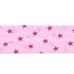 Biais Frou-Frou 20mmx2m Etoiles Rose 4808-0-307 petite image