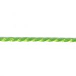 Frou-Frou Cordelière Rayonne 2mm Unis Vert pomme 4971-0-21 petite image