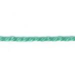 Frou-Frou Cordelière Rayonne 2mm Unis Vert menthe 4971-0-24 petite image