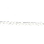 Frou-Frou Cordelière Rayonne 2mm Unis Blanc cassé 4971-0-69 petite image