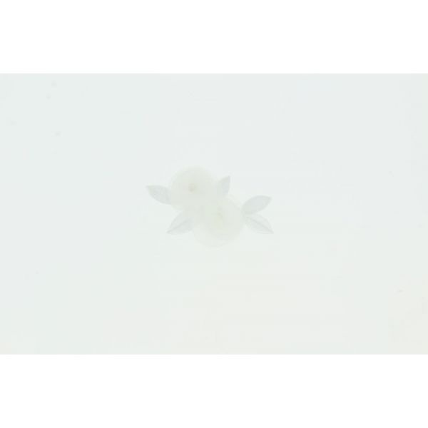 THERMOCOLLANT RECREATYS Collection Les mariés Double Fleurs 3271-0-70 image