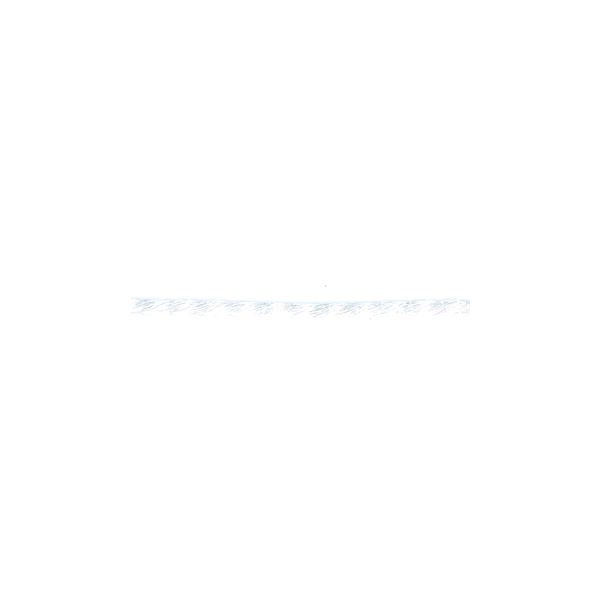 Frou-Frou Cordelière Rayonne 2mm Unis Blanc 4971-0-2 petite image