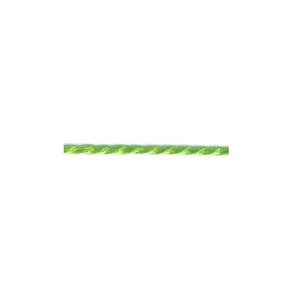 Frou-Frou Cordelière Rayonne 2mm Unis Vert pomme 4971-0-21 petite image
