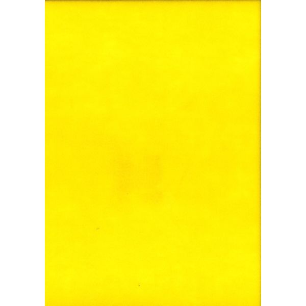 FEUILLE FEUTRINE 22