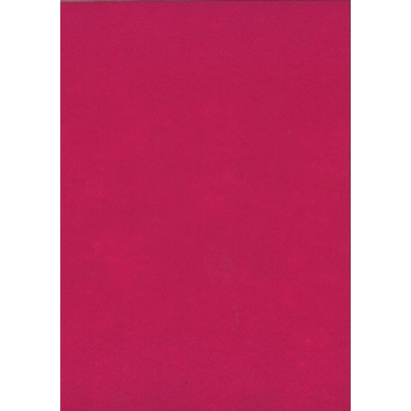 FEUILLE FEUTRINE 22