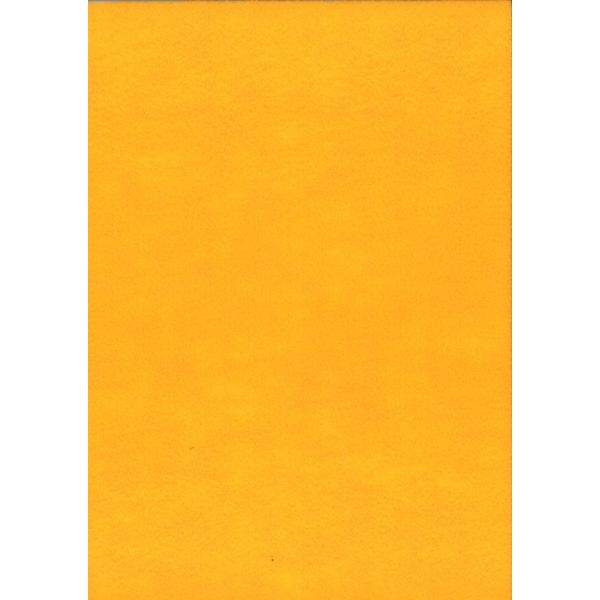FEUILLE FEUTRINE 22