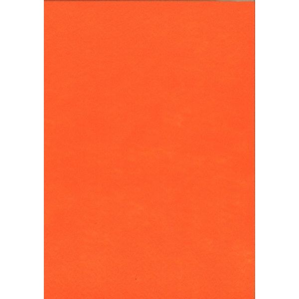 FEUILLE FEUTRINE 22