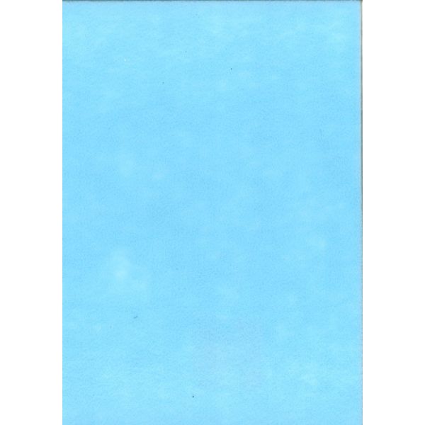 FEUILLE FEUTRINE 22