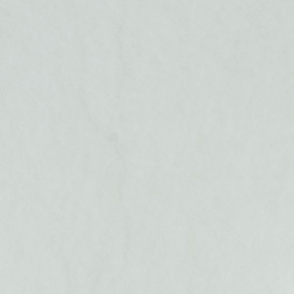 Molleton Thermocollant blanc - Largeur 90cm H630-0-2 image
