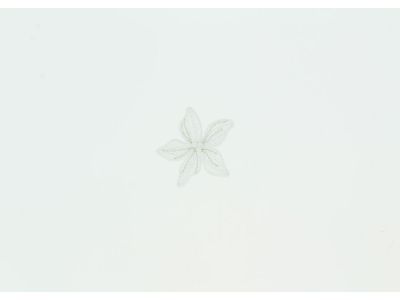 THERMOCOLLANT RECREATYS Collection Les mariés Orchidée Fleur