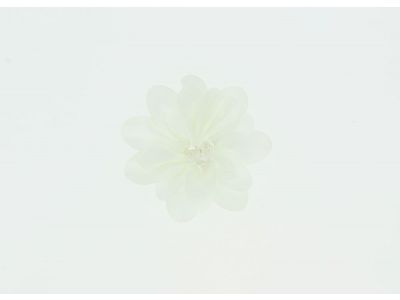 THERMOCOLLANT RECREATYS Collection Les mariés Fleur Ecru