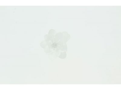 THERMOCOLLANT RECREATYS Collection Les mariés Fleur Blanche